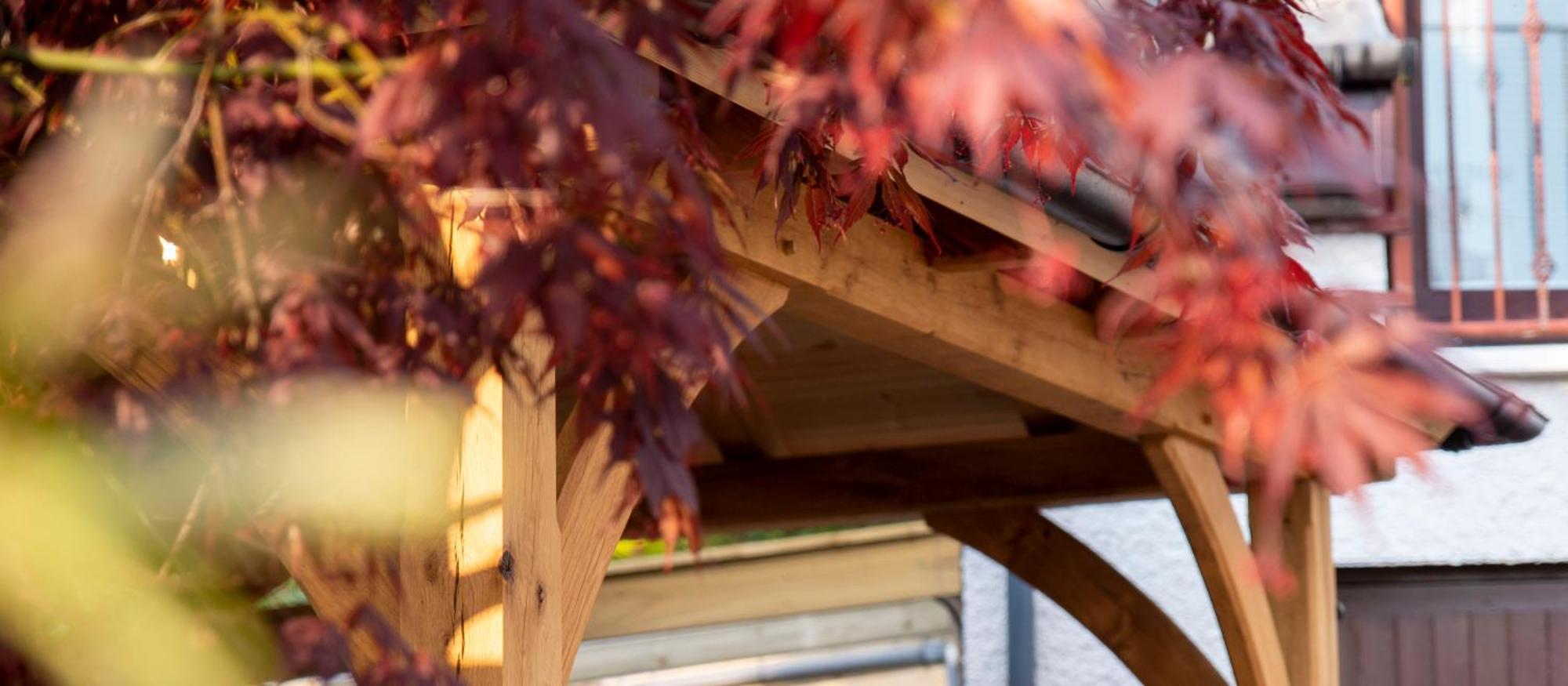 Braeside Guest House, Loch Lomond 드리맨 외부 사진